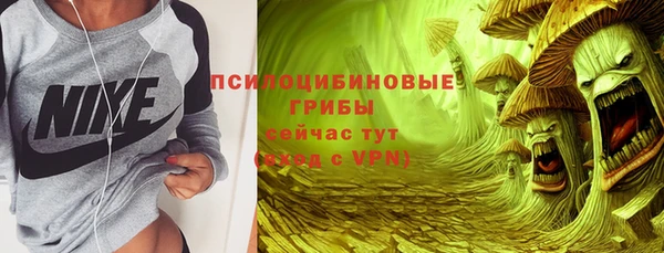 спайс Абаза