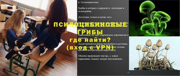 спайс Абаза