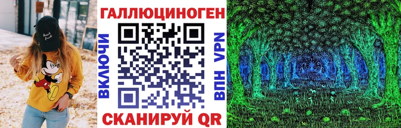 blacksprut ссылка  Шилка  Галлюциногенные грибы Psilocybine cubensis 
